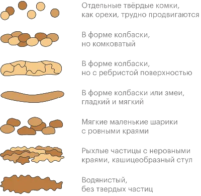 Какие болезни у вас будут если долго сидеть на унитазе