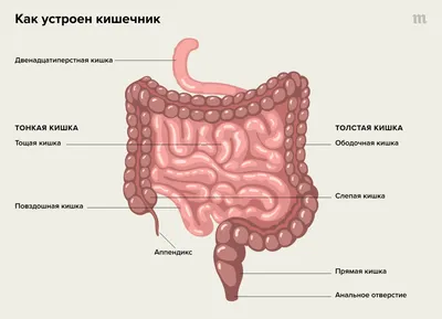 Гуаньча (Китай): говорят, что места, где используются напольные унитазы  должны кануть в лету – как бы не так! (Гуаньча, Китай) | 07.10.2022, ИноСМИ