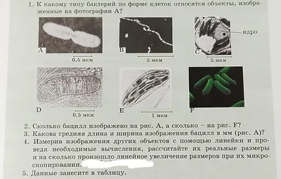 На Снимке Изображено Потрясающее Ночное Небо С Множеством Звезд Мерцающих В  Темноте — стоковые фотографии и другие картинки Без людей - iStock