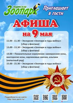 Как подготовиться к 9 мая: топ важных и символичных дел в Златоусте —  Выбирай.ру — Златоуст