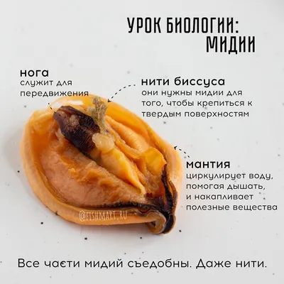 Можно ли умереть от апноэ во сне? Типы, симптомы и лечение апноэ сна