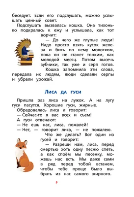 Земляничная фея. Бал на цветочном лугу - Vilki Books