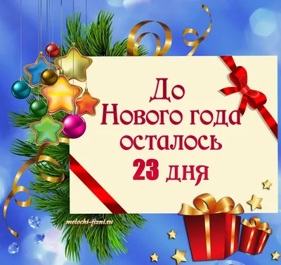 Идеи для Нового года, или Где, как и когда можно встретить Новый год в  Беларуси | TROFEI.by | Отдых и путешествия в Беларуси :: туризм, рыбалка,  охота