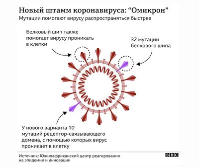 Новое удостоверение ГИМС — обучение в Санкт-Петербурге | Автошкола МЕГАПОЛИС