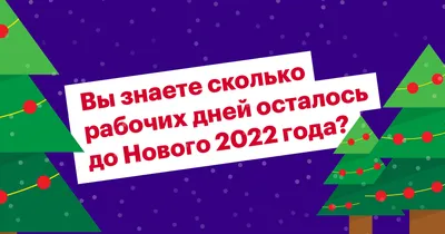 Библия. Книги Священного Писания Ветхого и Нового Завета, с параллельными  местами, с цветными иллюстрациями, синодальный перевод, в кожаном переплете  (с грифом РПЦ) - купить с доставкой по выгодным ценам в интернет-магазине  OZON (