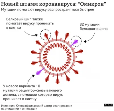 С Новым 2024 годом: красивые, необычные и прикольные картинки и открытки с  годом Дракона - МК Новосибирск