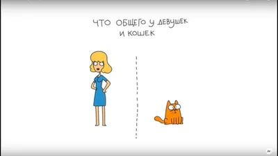 Что общего у девушек и кошек - YouTube