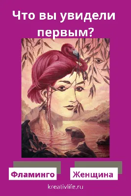 Тесты по картинкам: что вы увидели первым фламинго или девушка |  Психология, Ребусы, Психология развития