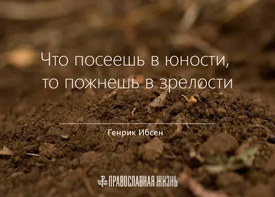 Н.х. Оригинал-макет сатирического плаката «Как посеешь—так и пожнешь».  Вторая половина XX в. Бумага, гуашь. - 1 л.; 57,5x43 см.| Лот №385 -  Аукционный дом Антиквариум.