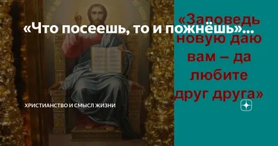 Что посеешь, то и пожнёшь, 2016 — описание, интересные факты — Кинопоиск