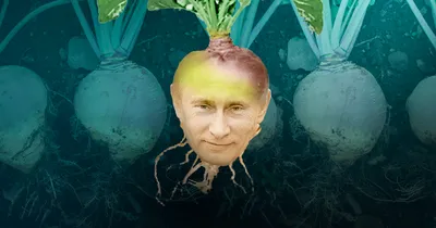 Семена Брюква Гера 0,5г купить с доставкой в МЕГАСТРОЙ Россия