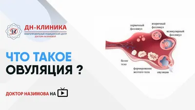 Медицинский центр Стронг - Овуляция — это часть менструального цикла, когда  созревшая яйцеклетка выходит из яичника в брюшную полость и ждёт  оплодотворения. Если в этот период яйцеклетка не оплодотворяется, она  постепенно разрушается,