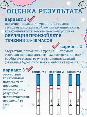 Все статьи о овуляция | genetyka.com.ua