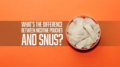 A Guide to Swedish Snus | Nicokick