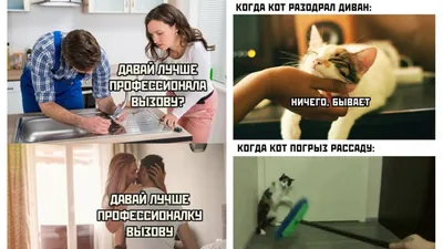 В сети обсуждают картинки-иллюзии с текстом: что это - Hi-Tech Mail.ru
