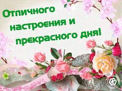 Картинки \"Доброго дня и прекрасного настроения!\" (179 шт.)