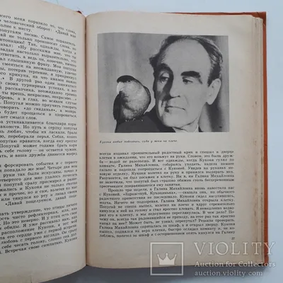 Чудесный мир природы рисунок - 70 фото