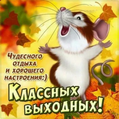 Открытки \"Хороших выходных!\" (253 шт.)