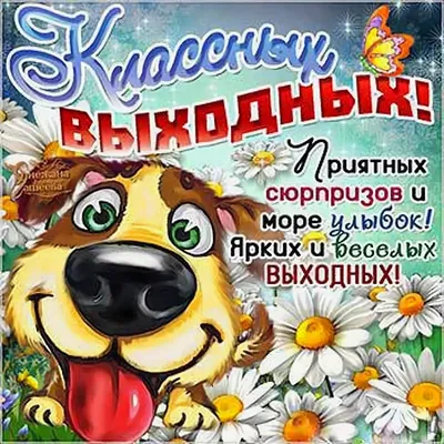 Картинки пожелания \"Хороших выходных!\" (255 шт.)