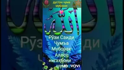 чума монголии муборак видео 2023э｜Поиск в TikTok