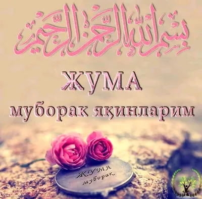 Рузи Саиди Чума Муборак #джумамубарак #альхамдулиллях🙏 #субхьаналлах1  @muhammad_tjk_0001_sp #muhammad_tjk_0001_sp #muhammad | Instagram