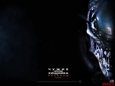 Рецензии на фильм Чужие против Хищника. Реквием / Aliens vs. Predator:  Requiem (2008), отзывы