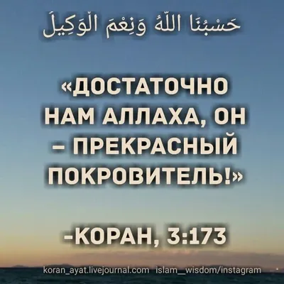 МЕСТО И ЗНАЧЕНИЕ ПОКАЯНИЯ (ТАУБА) В ИСЛАМЕ - Официальный сайт Духовного  управления мусульман Казахстана