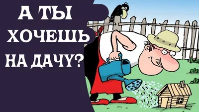 анекдот #юмор #ржач #прикол #соседи #дача #помидоры #огурцы | TikTok