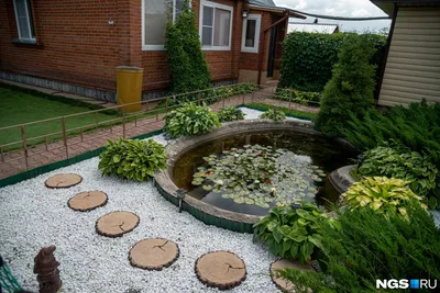 Дом сад огород» — создано в Шедевруме