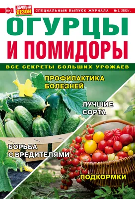 Как правильно завершить дачный сезон: что должен знать каждый садовод перед  осенью — Masterprof Season