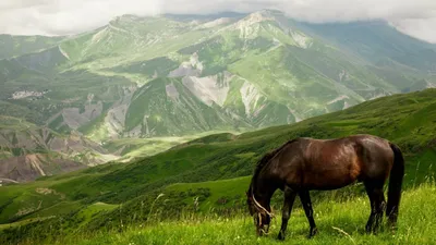 Весь Дагестан за пять дней - экскурсионный тур по Дагестану для  организованных групп - Кавказские минеральные воды и Северный Кавказ
