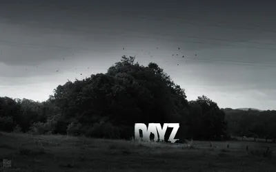 Слух: студия-разработчик DayZ закрыта