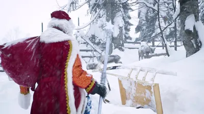 Новогодняя декоративная игрушка Дед Мороз на лыжах CX-15 в упаковке 1 шт:  продажа, цена в Одессе. Новогодние игрушки и украшения от \"Velotrend\" -  2015506014