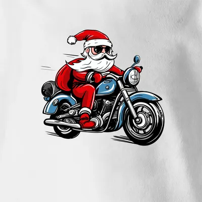 Купить Дед Мороз байкер на мотоцикле, новогодня | Skrami.ru