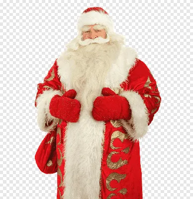 Ded Moroz Snegurochka Veliky Ustyug grandfather New Year, child, child,  people png | PNGEgg