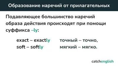 Урок 5. Can. Глаголы действия, для школьников 2 класса - Английский язык по  Скайпу