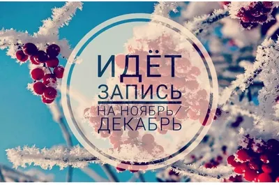 Парамон укажет погоду на весь декабрь: прогноз на 12 декабря по  Новосибирской области | Новости – Gorsite.ru