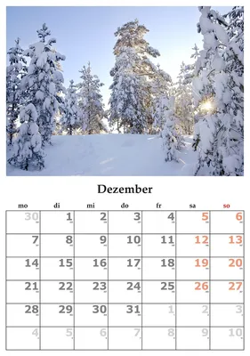 Адвент- календарь \"Волшебный декабрь 2023\" для нескольких детей. купить в  интернет-магазине