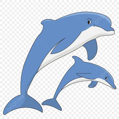 Дельфин выпрыгивает из воды дикая фотография жизни океана | Премиум Фото