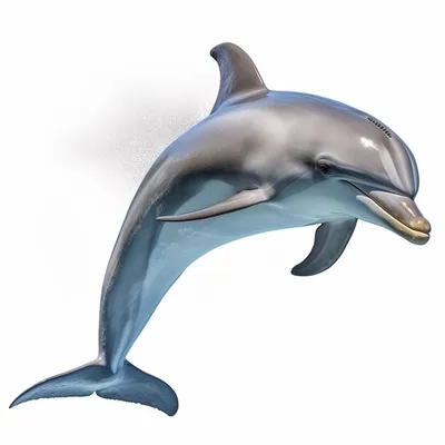 Дельфин деревянная игрушка – ForestMelody