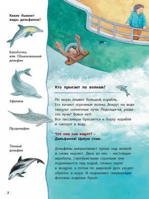 Дельфинчик и его морские соседи. Познавательные истории – Книжный  интернет-магазин Kniga.lv Polaris