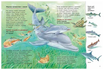 Дельфинчик купить по цене 190 ₽ в интернет-магазине KazanExpress