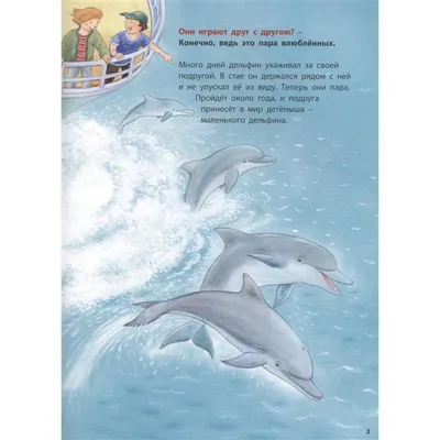 Водоплавающая игрушка «Дельфинчик», заводная (5553943) - Купить по цене от  105.00 руб. | Интернет магазин SIMA-LAND.RU