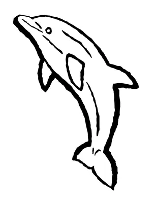 Рисуем дельфина - бесплатные конкурсы для детей и взрослых