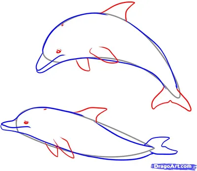 Нарисованная рукой иллюстрация контура животного симпатичные раскраски дельфинов  для детей черно-белые | Премиум векторы