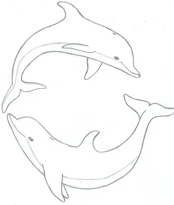 Рисунки дельфина для срисовки - Картинки для срисовки