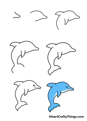 Раскраска дельфин для детей распечатать бесплатно | Дельфины, Раскраски,  Милые рисунки