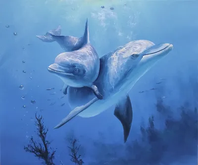 Дельфины не такие добрые, как многие думают! 5 жутких фактов, о которых вы  могли не знать