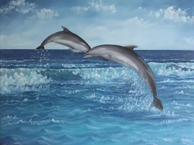 Боевые дельфины: что они умеют и способны ли защитить российские корабли в  Крыму - Delfi RUS