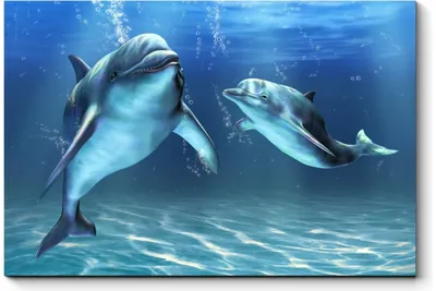 Появилось уникальное подводное видео, как дельфины охотятся за кефалью -  KP.RU